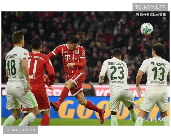 兹沃勒引援动作频频，新援加盟彰显球队提升竞争力雄心