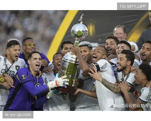 解放者杯风云再起：现代豪门的荣耀征途引热议